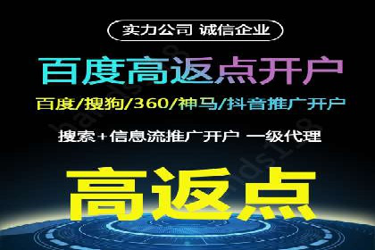 SEM主管实战：案例分析与优化策略